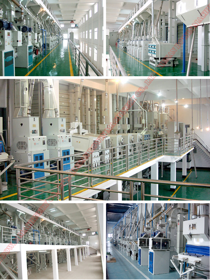 10td-500td complete&standard rice mill processing line.jpg